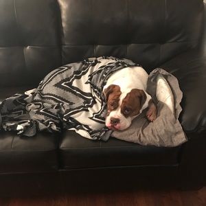 Meet your Posher, Michael